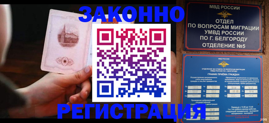 прописка 2025 в Дубне